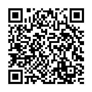 这名血族老人确实在来之前就做好了一不顺心就杀人劫货的准备二维码生成