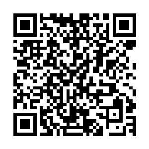 这声怒吼与之前罗楼第一次遇见大鹰时听到的吼叫声一模一样二维码生成