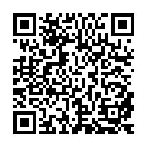 这小女孩显然想要和他展开反谈判――这让他不由得抬了抬眉毛二维码生成