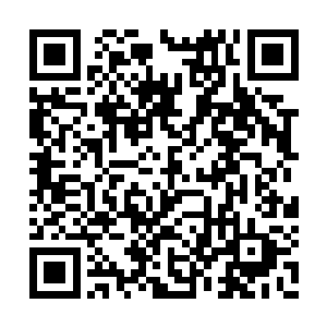 这山林里面是绝对不可能绝对没有了任何气息的二维码生成