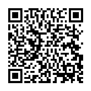 这微小的波动感染到包围在张潇晗和战魂鼓身边的莫名的东西上二维码生成