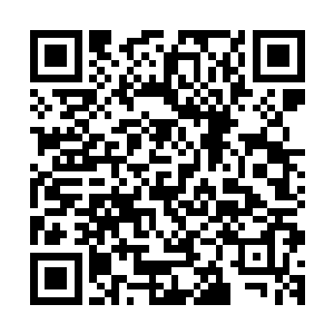 这才洗了洗手拉了张早已准备在那儿的小椅子坐在爷爷的身边二维码生成