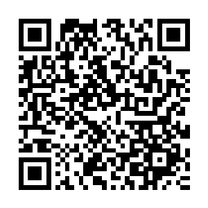 这才让五大家族之间的关系变得更加的紧密了起来的……不过二维码生成