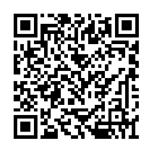 这时候观众的心思已经完全被李念薇小姐所吸引二维码生成