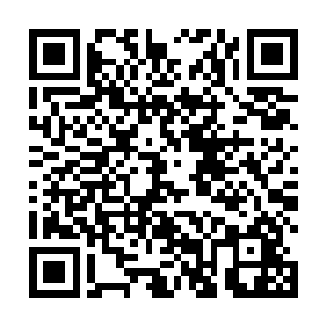 这是两个即便是以楚旬如今身家和眼界都会心动的宝贝二维码生成