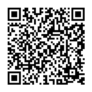 这本来是镇里聘请了一个老家在洼崮但是已经退休的工程师黄启才搞起来的企业二维码生成