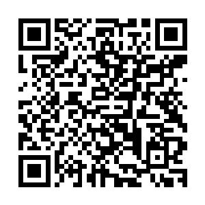 这样一来谁也不好意思对他动手了――有钱的拉不下脸面动手二维码生成