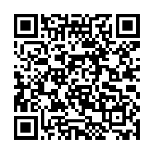 这样的局已经不是他这种低级的小人物能够掺和的了二维码生成