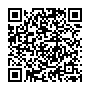 这样窗户的牢固程度就会把他们挡在外面进不来了二维码生成