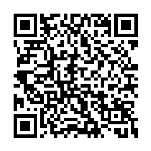 这次发生在巴斯坦控制区的剿灭摩萨组织的行动二维码生成