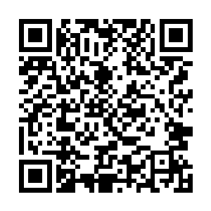 这次的事情必须办的漂漂亮亮给大统领身边的其他人看看二维码生成