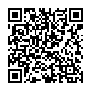 这次的拍卖起底价还是比正常的市场价高了差不多三分之一二维码生成