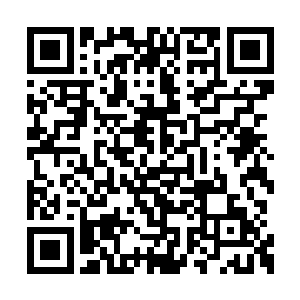 这次考核的人数比上一届考核的人数少了十几倍二维码生成