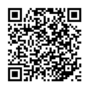 这正是他们现在需要的角色――虽然凯伦的戏份只能算是配角二维码生成