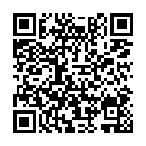这真一教教主怎么说也是金辰界第二大势力的掌教二维码生成
