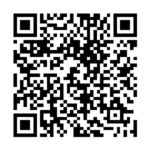 这种不自信只有在最重视的人面前才会不知不觉的表露出来二维码生成
