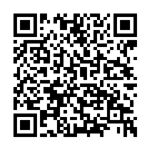 这种攻击方式对付同为金莲境界的修士也许没用二维码生成