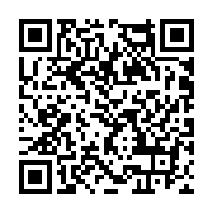 这种血肉之间的碰撞所带来的疼痛感让他非常舒服二维码生成