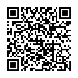 这股渴望似乎是从他身体的每一颗细胞里面传递出来的二维码生成