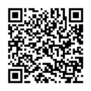 这让他们的修为在整个家族这一代都是不可撼动的存在二维码生成