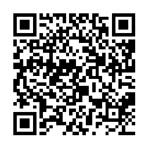 这边会给周逢安全家上下选一块上好的风水宝地长眠二维码生成