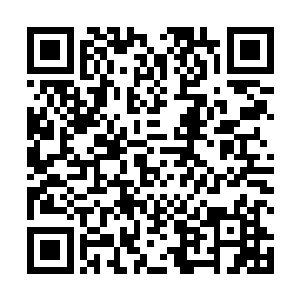 这雷火狮王几乎是瞬间不留痕迹的出现在了修士的身边二维码生成