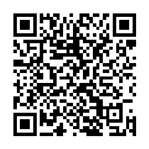 这黑佛组织的三位巨头所创建的所谓冥界只是一个笑话罢了二维码生成