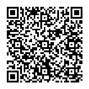 连带着让他对生命的认识也更提高了一步――他甚至还有闲暇在新生身体里刻下新的道纹二维码生成