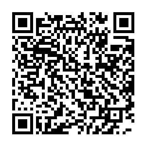 连续两道灵气分别化为一把巨大的冰剑和一条粗大的蔓藤朝哪吒攻去二维码生成