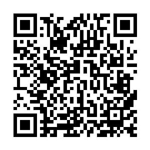 连贯阅读时冒出来的跟剧情无关的单章总是让我很出戏二维码生成