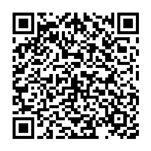 连陈雷和叶卡琳娜这样的都连忙要了点红纸随便包点东西讨个吉利二维码生成