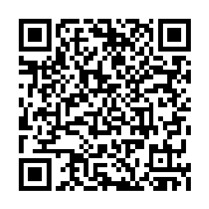选择燕拓的愿意除了燕拓心中的仇恨和狠辣之外二维码生成