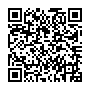 通过这个法阵就可以和东皇大陆的另一个点位进行连接二维码生成