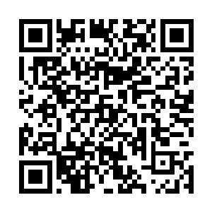 遇到了精英模板或者变异模板的吸血蝠或者寒冰蝠二维码生成