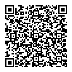 那世界树的折叠空间就是一只由无数小盒子按照最适宜的方式排列组成的错综复杂的超大盒子二维码生成