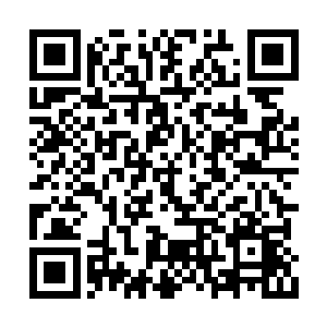 那个叫做杜克・罗森伯格的小导演当面拒绝过他二维码生成
