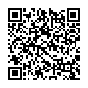 那个时候自己不过是一具并不怎么结实的骨头架子二维码生成