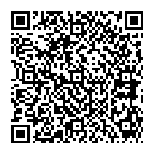 那么也许我会一直重复找到有潜质的新人――把我的理想寄托在她或他身上――然后在他有一定成就的时候失去他二维码生成