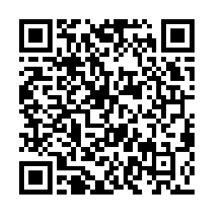 那么红级高手在他的面前也就彻底的不算什么了二维码生成