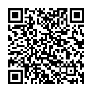 那些被系里特别勒令过来参会的老师们没想到会有这样的局面二维码生成
