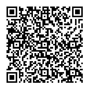 那仿佛已经跟雷火冰血蜈彻底融为一体的万蛊鼎也被这青铜光辉连着那雷火冰血蜈一起给轰飞了出去二维码生成