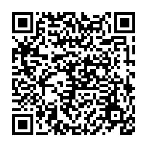 那你也不否认就算是我们两个现在融合也不是我们的敌人的对手吧二维码生成