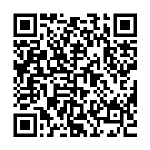 那几个筑基期武修高手急忙挥动手中的兵刃劈砍缠绕而来的古藤二维码生成