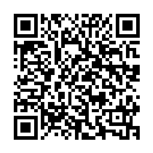 那十几个被围困的三品宗门亲自确认了那些一元宗队伍的离开二维码生成