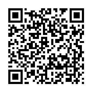 那厚重的杀伐攻击通天塔上没多少人能够抵挡得住二维码生成