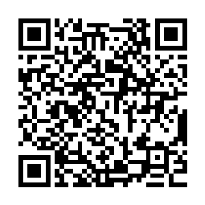 那啥……许紫烟和许琴扬两个人的名字我还真是每次都认真检查二维码生成
