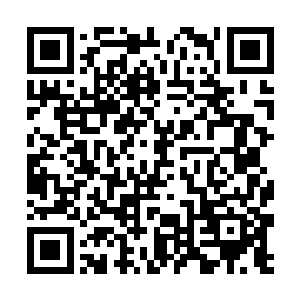 那就是叙利亚飞机的保养水准果然和他听说的一样差二维码生成