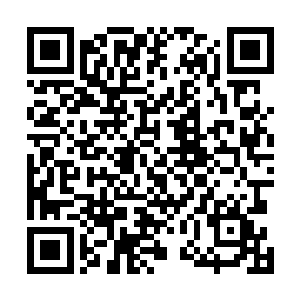 那就是本来是单独行动的白魔王都进入了特殊的家庭模式二维码生成