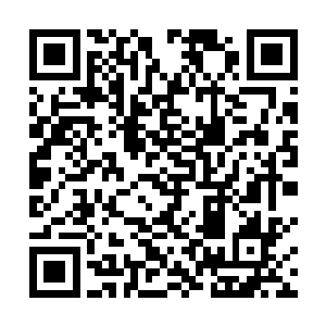 那日发现他和生死无常宗之人在锦水岸边的林子出没后二维码生成