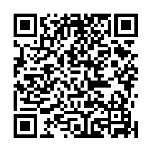 那是一种让所有飞禽一族从灵魂深处感到畏惧臣服的气息二维码生成